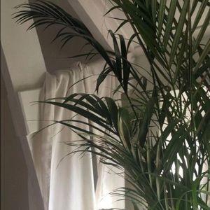 Meet your Posher, Noa